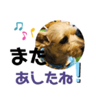 よろしく！サムです‼️（個別スタンプ：5）