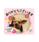 よろしく！サムです‼️（個別スタンプ：6）