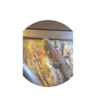トカゲREXスタンプ（個別スタンプ：6）