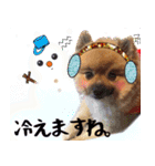 ぽめらにあんな生活（個別スタンプ：6）