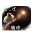 ぽめらにあんな生活（個別スタンプ：7）