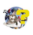 あいさつ眉毛ねこオル君と春夏スタンプ（個別スタンプ：2）