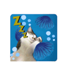 あいさつ眉毛ねこオル君と春夏スタンプ（個別スタンプ：19）