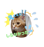 ボクのなまえはきっき。（個別スタンプ：4）