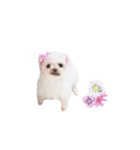 maru57（個別スタンプ：1）