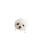 maru57（個別スタンプ：3）