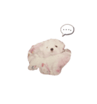 maru57（個別スタンプ：5）
