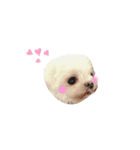 maru57（個別スタンプ：6）