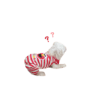maru57（個別スタンプ：7）