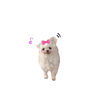 maru57（個別スタンプ：8）
