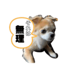 やつらがくる！（個別スタンプ：3）
