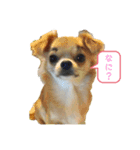 やつらがくる！（個別スタンプ：4）