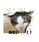やつらがくる！（個別スタンプ：6）