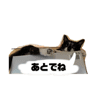 やつらがくる！（個別スタンプ：7）
