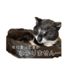 やつらがくる！（個別スタンプ：9）