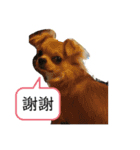 やつらがくる！（個別スタンプ：10）