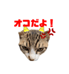 シエル ウィル ルーシー 桔梗 琥白（個別スタンプ：6）