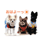仲良し三匹♡（個別スタンプ：1）