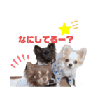 仲良し三匹♡（個別スタンプ：7）