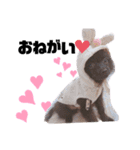 仲良し三匹♡（個別スタンプ：9）