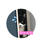 生まれは北海道だべ（個別スタンプ：4）