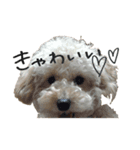 ましゅたんぷ♡Part2（個別スタンプ：1）