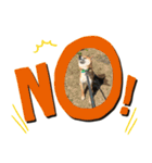 柴犬のムサシの日常会話スタンプ。（個別スタンプ：8）