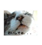 さすけ(またはキョロちゃん2)（個別スタンプ：2）