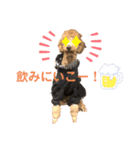 ワイ氏カールばーしょん さん（個別スタンプ：6）