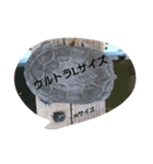 亀の毎日（個別スタンプ：2）