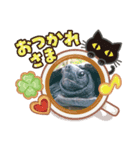 亀の毎日（個別スタンプ：6）