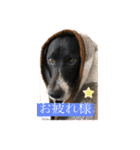 トムくん Happiness Life 2（個別スタンプ：6）