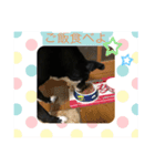 トムくん Happiness Life 2（個別スタンプ：8）