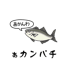 超ビチビチしてる魚のスタンプ（世渡り）（個別スタンプ：20）