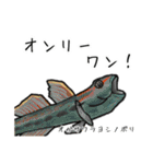 僕のハゼたち ぼりゅーむあっぷ（個別スタンプ：6）