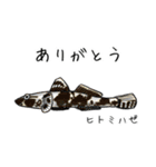 僕のハゼたち ぼりゅーむあっぷ（個別スタンプ：11）