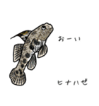 僕のハゼたち ぼりゅーむあっぷ（個別スタンプ：14）