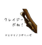 僕のハゼたち ぼりゅーむあっぷ（個別スタンプ：16）