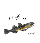 僕のハゼたち ぼりゅーむあっぷ（個別スタンプ：36）