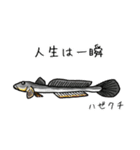 僕のハゼたち ぼりゅーむあっぷ（個別スタンプ：38）