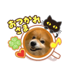 オトちゃん★スタンプ（個別スタンプ：1）
