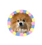 オトちゃん★スタンプ（個別スタンプ：3）