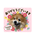 オトちゃん★スタンプ（個別スタンプ：8）