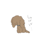 トイプ〜ドルのちょらちゃん（個別スタンプ：14）