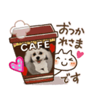 マルシーズー・チロル（個別スタンプ：2）