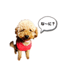 ちゃっぴー＆みるく（個別スタンプ：2）