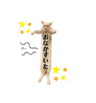 笹かまアイドル白玉ちゃん（個別スタンプ：27）