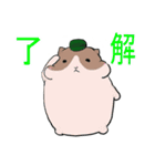 もっちりハムちゃん軍曹（個別スタンプ：9）