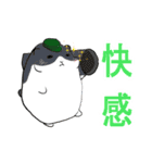 もっちりハムちゃん軍曹（個別スタンプ：11）