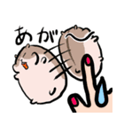 もっちりハムちゃん軍曹（個別スタンプ：33）
